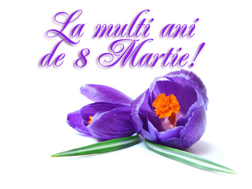 8martie4d30af.jpg