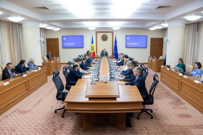 Poză generică ședință Guvern Vlad